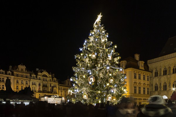 vánoční strom republiky - Staromák